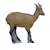 SRT Target 3D Iberian Ibex Female