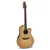 Applause E-Kitara tradicional akustična AB24 Mid Cutaway AP521.100 Gewa