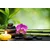 Slika Feng Shui harmonija - 150x100