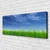 tulup.si Slika na platnu Sky grass nature rastlin 120x60 cm