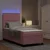 Vidaxl LED Box Spring Postelja z vzmetnico Roza 100 x 200 cm Žamet