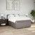 vidaXL Box spring postelja z vzmetnico taupe 140x190 cm blago