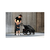 Thule prikolica za bicikl Chariot Sport 1Mid.Black