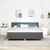 Vidaxl LED Box Spring Postelja Temno siva 180 x 200 cm blago