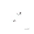 VILLAGER Motorni trimer BC 433 E