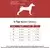Paws & Whiskers Am za pse V-Harness, Roze