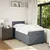 Vidaxl Box spring postelja z vzmetnico temno siva 80x200 cm žamet