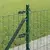 Euro Ograđivanje s Betonskom Bazom 50 x 0,6 m Zelena Mreža