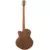 Tanglewood TRU7 AB CE BW Reunion Pro - akustična bas gitara