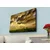 Wallity Slika sa LED osvetljenjem 4570HDACT-049, 45x70 cm