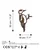 Atelier Del Sofa Dekorativna figura Bird On The Branch 01, 18x30 cm, 1.5 mm