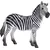 Mojo Zebra kobila