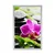 Plakat wellness tihožitje z vijolično orhidejo - 20x30 silver