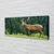 tulup.si Slika na platnu Deer na področju 140x70 cm