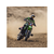 Losi Moto-MX 1:4 RTR Pro Circuit
