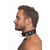 Master Series Tracer Tracking Collar Black