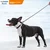 Dogness Povodac za pse, L, Sivi