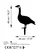 Aberto Design Dekorativna figura Goose 01, 64x44 cm, 1.5 mm