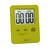Electronic timer - Colourworks