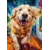 Castorland Puzzle Euphoric Spectrum 200 kosov