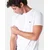 Lacoste TH6709 Bela