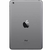 APPLE iPad mini Wi-Fi 32GB, črn/spacegray (Retina) (ME277HC/A)