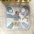 Ingenuity Podloga za igru Sprout Spot Baby Milestone, 0-36 meseci, Siva
