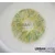MONET GREEN barvne leče - -2.50