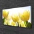 tulup.si Slika na platnu Tulipani flowers rays 100x50 cm