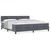 vidaXL Box Spring Postelja z Blazino Temno Siva 200x200 cm Žamet