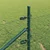 Zavareno žičano ograđivanje s bodljama 50 x 0,5 m (Š x V)