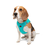 Paws & Whiskers Am za pse Air-Mesh, Tirkizni