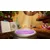 Switch Garden Witch Life