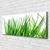 tulup.si Slika na platnu Grass on wall 120x60 cm