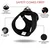 Paws & Whiskers Am za pse Air-Mesh, Crni