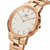 DANIEL WELLINGTON DW00100213