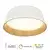 LED plafonska lampa FK2003-62C WH
