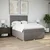 Vidaxl Box spring postelja z vzmetnico taupe 140x190 cm blago