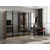 Hanah Home ormar sa reflektujućim staklom Nisa 20649, 225 cm, dore