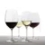 RIEDEL Vinum Set za degustaciju vina, 4 komada