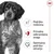 Royal Canin Medium Adult 10x140g – Vlažna hrana za pse