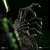 Figurica Alien - Big Chap - IS95931