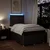 vidaXL vidaXL Box spring postelja z vzmetnico temno rjava 120x190 cm blago, (21308148)