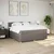 Vidaxl Box spring postelja z vzmetnico taupe 180x200 cm blago