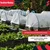 shumee Agrotekstil Spring Frost, bel, 17 g/m2, 1,6 x 5 m