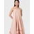 AllSaints Obleka LIL  puder