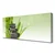 tulup.si Slika na platnu Bambus grass rastlin narava 125x50 cm