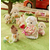 Sylvanian family Dvojičky ovečky