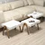 Hanah Home Set klub stolova, 3 komada Roma Orah