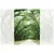 Samolepilna fototapeta drevesa v objemu - 196x270